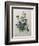 Pansy-Pierre-Joseph Redoute-Framed Art Print