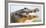 Pantanal cayman head, Porto Jofre, Mato Grosso, Brazil-Panoramic Images-Framed Photographic Print