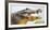 Pantanal cayman head, Porto Jofre, Mato Grosso, Brazil-Panoramic Images-Framed Photographic Print