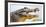 Pantanal cayman head, Porto Jofre, Mato Grosso, Brazil-Panoramic Images-Framed Photographic Print