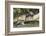 Pantanal, Mato Grosso, Brazil. Giant river otter reclining on a log-Janet Horton-Framed Photographic Print