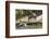 Pantanal, Mato Grosso, Brazil. Giant river otter reclining on a log-Janet Horton-Framed Photographic Print