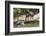 Pantanal, Mato Grosso, Brazil. Giant river otter reclining on a log-Janet Horton-Framed Photographic Print