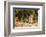 Pantanal, Mato Grosso, Brazil. Jaguar resting on a riverbank.-Janet Horton-Framed Photographic Print