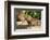 Pantanal, Mato Grosso, Brazil. Portrait of two young Capybaras sitting along the riverbank-Janet Horton-Framed Photographic Print