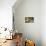 Pantanal, Mato Grosso, Brazil. Portrait of two young Capybaras sitting along the riverbank-Janet Horton-Mounted Photographic Print displayed on a wall