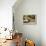 Pantanal, Mato Grosso, Brazil. Portrait of two young Capybaras sitting along the riverbank-Janet Horton-Framed Premier Image Canvas displayed on a wall