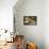 Pantanal, Mato Grosso, Brazil. Portrait of two young Capybaras sitting along the riverbank-Janet Horton-Framed Premier Image Canvas displayed on a wall