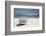 Pantano Do Sul Beach and Fisherman's Boat on Florianopolis Island in Southern Brazil-Alex Saberi-Framed Photographic Print