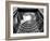 Pantheon-Andrea Costantini-Framed Photographic Print