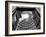 Pantheon-Andrea Costantini-Framed Photographic Print