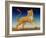 Panther, 2004-Frances Broomfield-Framed Giclee Print