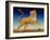 Panther, 2004-Frances Broomfield-Framed Giclee Print