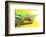 Panther Chameleon, Madagascar, Africa-Stuart Westmorland-Framed Photographic Print