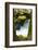 Panther Creek, Gifford-Pinchot National Forest, Washington, Usa-Michel Hersen-Framed Photographic Print