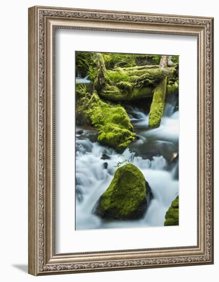 Panther Creek, Gifford-Pinchot Nf, Carson, Washington, Usa-Michel Hersen-Framed Photographic Print