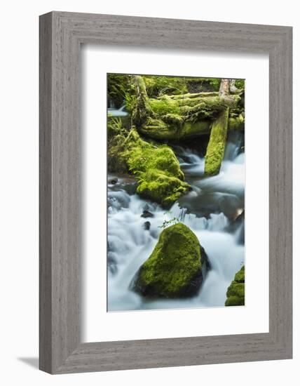 Panther Creek, Gifford-Pinchot Nf, Carson, Washington, Usa-Michel Hersen-Framed Photographic Print