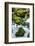 Panther Creek, Gifford-Pinchot Nf, Carson, Washington, Usa-Michel Hersen-Framed Photographic Print