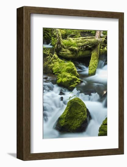 Panther Creek, Gifford-Pinchot Nf, Carson, Washington, Usa-Michel Hersen-Framed Photographic Print