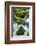 Panther Creek, Gifford-Pinchot Nf, Carson, Washington, Usa-Michel Hersen-Framed Photographic Print