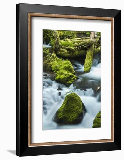 Panther Creek, Gifford-Pinchot Nf, Carson, Washington, Usa-Michel Hersen-Framed Photographic Print