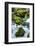 Panther Creek, Gifford-Pinchot Nf, Carson, Washington, Usa-Michel Hersen-Framed Photographic Print