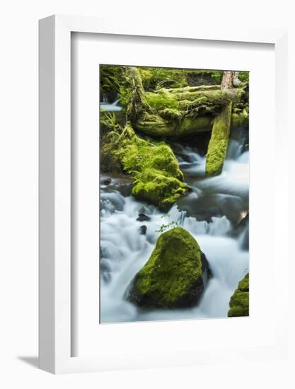 Panther Creek, Gifford-Pinchot Nf, Carson, Washington, Usa-Michel Hersen-Framed Photographic Print