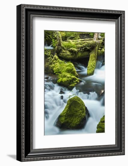 Panther Creek, Gifford-Pinchot Nf, Carson, Washington, Usa-Michel Hersen-Framed Photographic Print