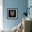 Panther Head Black Mesh-Lisa Kroll-Framed Premium Giclee Print displayed on a wall