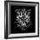 Panther Head Black Mesh-Lisa Kroll-Framed Premium Giclee Print