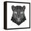 Panther Head Mesh-Lisa Kroll-Framed Stretched Canvas