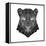 Panther Head Mesh-Lisa Kroll-Framed Stretched Canvas