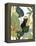 Panther Magic I-June Vess-Framed Stretched Canvas