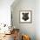 Panther-Lora Kroll-Framed Stretched Canvas displayed on a wall