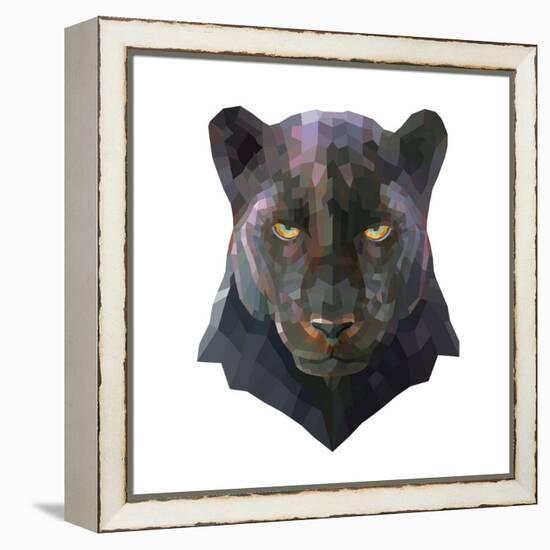 Panther-Lora Kroll-Framed Stretched Canvas