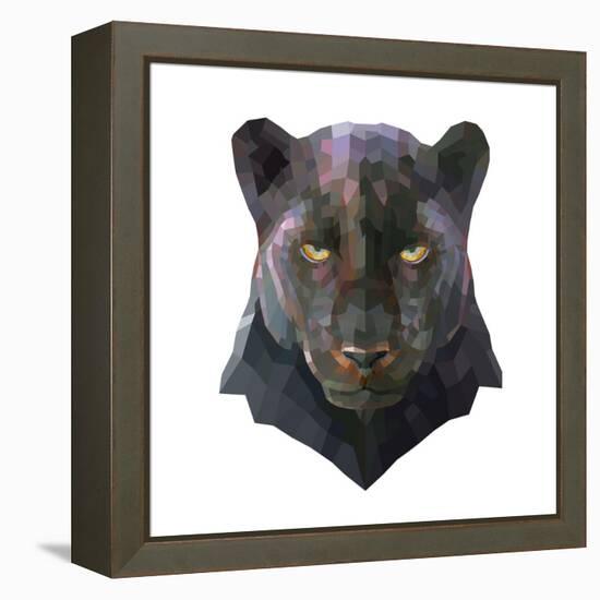 Panther-Lora Kroll-Framed Stretched Canvas