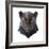 Panther-Lora Kroll-Framed Art Print