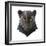 Panther-Lora Kroll-Framed Art Print