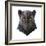 Panther-Lora Kroll-Framed Art Print