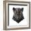 Panther-Lora Kroll-Framed Art Print