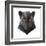 Panther-Lora Kroll-Framed Art Print