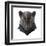 Panther-Lora Kroll-Framed Art Print