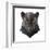 Panther-Lora Kroll-Framed Art Print