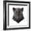 Panther-Lora Kroll-Framed Art Print