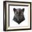 Panther-Lora Kroll-Framed Art Print