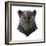 Panther-Lora Kroll-Framed Premium Giclee Print