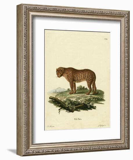 Panther-null-Framed Giclee Print