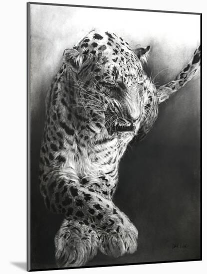 Panthera pardus 1, 2009-Odile Kidd-Mounted Giclee Print