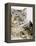 Panthera Uncia-Barbara Keith-Framed Premier Image Canvas