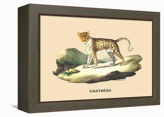 Panthere-E.f. Noel-Framed Stretched Canvas